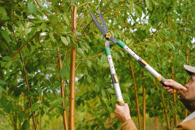 outdoor spring maintenance